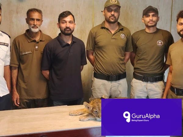 پولیس اینیمل ریسکیو سنٹر کا ڈرامائی آپریشن: زخمی شیر کے بچے کی جان بچا لی گئی