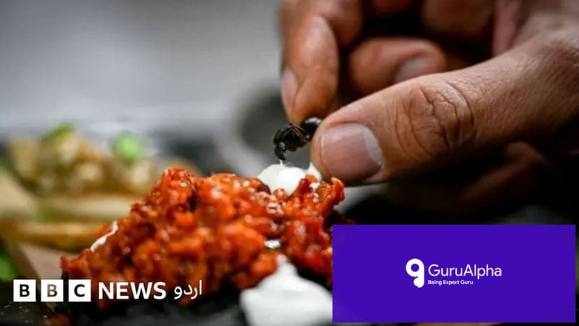 جنوبی کوریا: کھانوں میں 49 ہزار چیونٹیوں کا غیر قانونی استعمال، ریستوران پر لاکھوں کا جرمانہ
