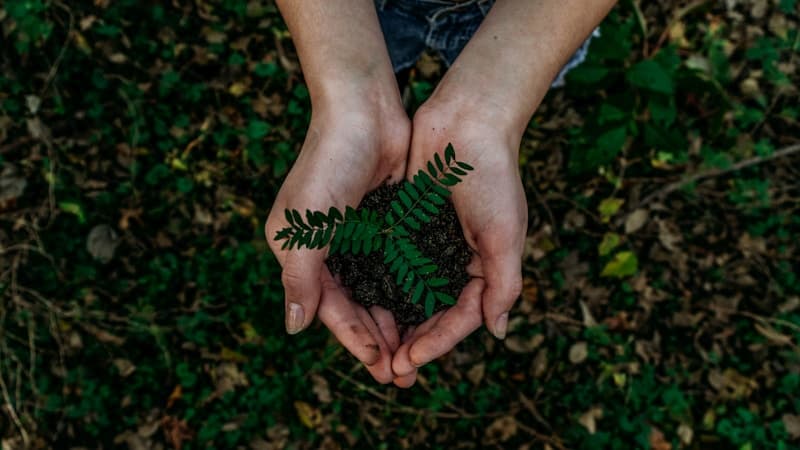 Sustainable Living Tips for Pakistani Households