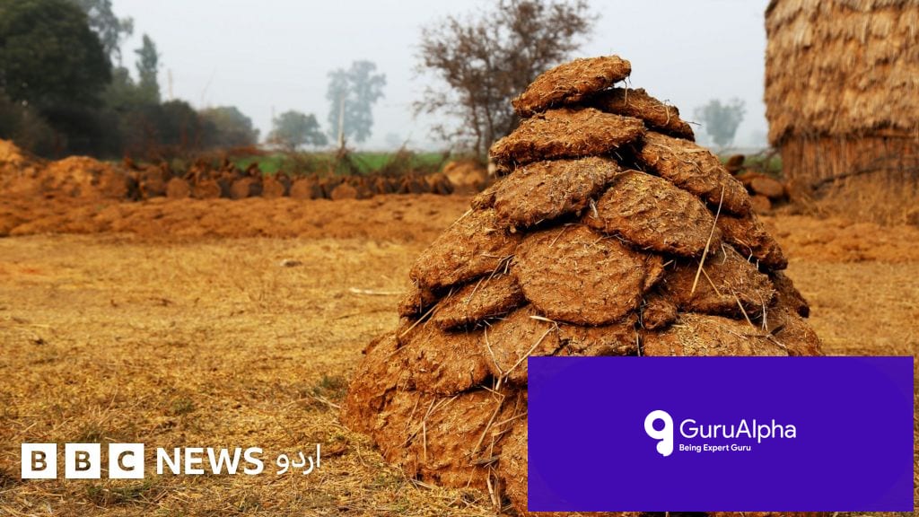 اسکول اساتذہ کے کھانے میں گوبر ملا کر انتقام: ملزم گرفتار، سنسنی خیز انکشافات